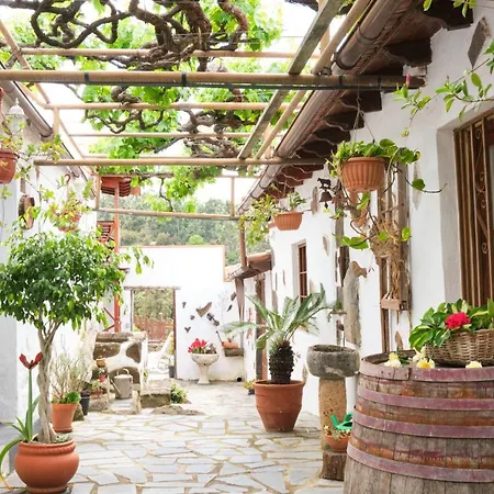 Felipe Luis San Juan de la Rambla